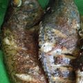 Cooksnap dari Heni Yuli Astuti untuk resep Ikan nila bakar 🐟