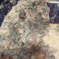Cooksnap dari RiwAna ManuRung untuk resep Sayur Bangun-Bangun/Daun Jinten
