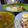 Cooksnap dari rzqrzq untuk resep Soto ayam lamongan