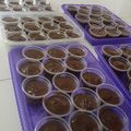 Cooksnap dari aLeetha untuk resep 81. Brownies Kukus Cup Ekonomis