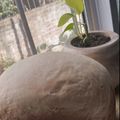 El cooksnap de Micaela Arredondo cuando hizo Pan lactal en máquina con aceite sin manteca.
