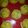 Cooksnap dari LinaKuw untuk resep Bolkus Gula Jawa mekar mewangi, no mixer