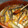 El cooksnap de Xavier cuando hizo Sardinas en escabeche.