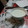 El cooksnap de Miguel Angel Patricio Garcia cuando hizo Salsa griega de yogur y ajo.