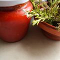 El cooksnap de @tesa.cuina cuando hizo Salsa de tomates "casera"🍅🍅🍅🍅🍅.