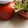 El cooksnap de @tesa.cuina cuando hizo Salsa de tomates "casera"🍅🍅🍅🍅🍅.