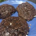 El cooksnap de Mujer De Luna cuando hizo Galletitas de chocolate sin azúcar.
