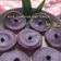 Cooksnap dari Liawati Iskandar untuk resep Kue Lumpur Ubi Ungu, oven