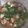 รูป Cooksnap ของ Mooying St เมื่อเขาทำ ต้มยำไก่