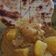 Cooksnap dari syifariza Chandra untuk resep Kare ayam with Indian curry powder