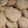 Cooksnap dari Yunita DR untuk resep Chocochips Cookies