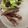 Micah 's cooksnap of when they made Lamb ribs.