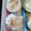 El cooksnap de picho cuando hizo Arroz con leche y merengue casero (como lo hace la abuela).
