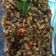 Cooksnap dari Novi Nanda Safitri untuk resep Kering tempe kacang pedas manis