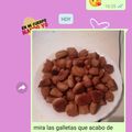 El cooksnap de maría José cuando hizo Galletas para perros de manzana y canela.