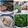 Cooksnap dari lena.0102 untuk resep Lontong isi oncom