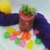 Ketki Dave's cooksnap of when they made દાડમ પાઈનેપલ કુલર (Pomegranate Pineapple Cooler Recipe In Gujarati).