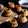 Cooksnap de Litchi & Vanille sur la recette Financier tigré au chocolat