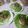 El cooksnap de Violeta cuando hizo Fondos de alcachofa rellenos con atún y verduras picadas.