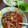 El cooksnap de yesi_sanchez75 cuando hizo Caldo de Marisco tipo Cahuamanta Sonorense de Mantarraya, Camarón y Pulpo.