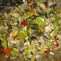 Cooksnap dari siti nur azizah untuk resep 44. Tumis Pindang Tomat Ijo