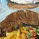 Cooksnap από Athina στη συνταγή Συκώτι όπως δεν το έχετε ξαναφαει