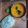 Heejal Pandya's cooksnap of when they made દાલ તડકા (Dal Tadka Recipe In Gujarati).