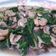 Cooksnap dari Diah untuk resep KAILAN TRI JAMUR