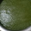 Sangeeta dhama 's cooksnap of when they made Green Chutney 😋.
