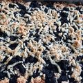 El cooksnap de Sergio Marini cuando hizo Tarta de moras.