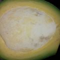 Cooksnap dari syarifahyuni untuk resep Tips peram buah alpukat
