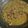 Cooksnap dari Izzatie Syafiqah untuk resep Kerang masak bumbu kuning