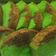 Cooksnap dari Nuraisah Agus untuk resep Cake putih telur lembut