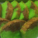 Cooksnap dari Nuraisah Agus untuk resep Cake putih telur lembut