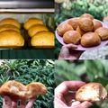 Cooksnap dari Artangle untuk resep Burger bun #keto