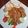 Cooksnap dari Rindu untuk resep Gado-Gado Khas Surabaya