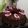 Cooksnap dari Luky Aprilia untuk resep BROWNIES KUKUS NY. LIEM