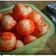 Cooksnap dari Yoshi Nur Imama untuk resep Cimol enyoy hemat