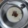 Sangeeta Negi का कुकस्नैप जब उन्होंने चावल की खीर (chawal ki kheer recipe in Hindi) बनाया था।