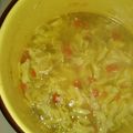 Sally Sobczak's cooksnap of when they made Homemade Chicken Soup For Your Soul.