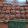 thor19311's cooksnap of when they made Cocoa and chocolate chip cookies.