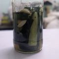 Cooksnap Nana Isya semasa beliau membuat Timun jeruk or cucumber pickles.