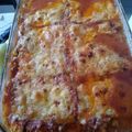 El cooksnap de claudiaelizabethjametlobos cuando hizo Lasaña de zapallitos italianos .