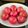 Cooksnap dari Catherine Ansie untuk resep Telur Merah Ulang Tahun (shiny, mess free) 🎉🥳