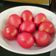 Cooksnap dari Catherine Ansie untuk resep Telur Merah Ulang Tahun (shiny, mess free) 🎉🥳