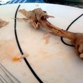 xRaphaelx's cooksnap of when they made sig's chicken legs stuffed with wild mushrooms.