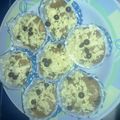 Cooksnap dari Cita Pramudya Wardhani untuk resep Bolu gula merah merekah