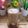 Cooksnap dari Dapoer_Angkring untuk resep Wedang Teh Susu