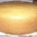 El cooksnap de Maria Casan cuando hizo Torta exquisita del tamaño de la lata de dulce.