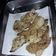 El cooksnap de Milagros Gomez cuando hizo Alitas de pollo-crocantes con queso.